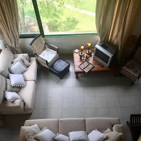 Oasis,nature And Relax